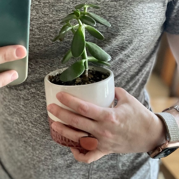 Tagua Nut Jewelry Set Bohemian nouveau vintage OOAK ring size 4 - Picture 8 of 9